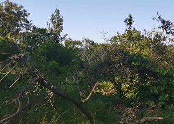 Terreno agricolo via pietrarsa, Pozzuoli - foto 30