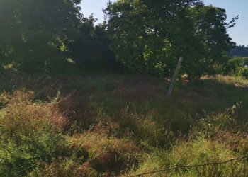 Terreno agricolo via pietrarsa, Pozzuoli - foto 34