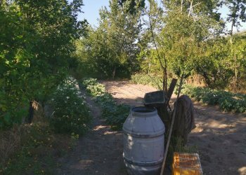 Terreno agricolo via pietrarsa, Pozzuoli - foto 38