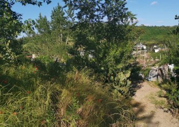 Terreno agricolo via pietrarsa, Pozzuoli - foto 39