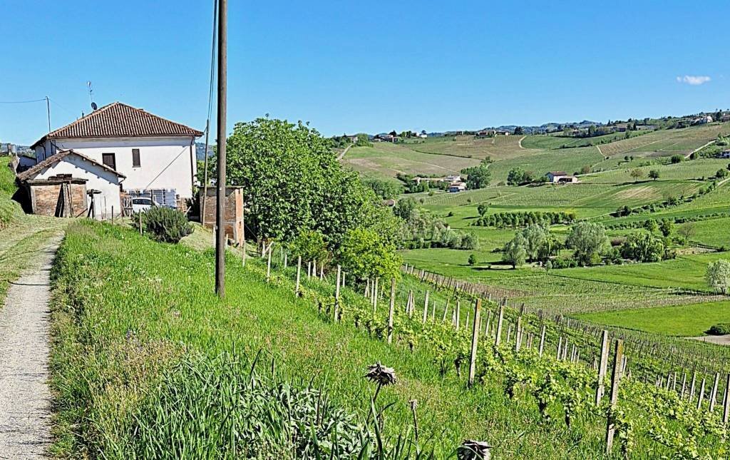 Terreno - Rustico Moasca - foto 1