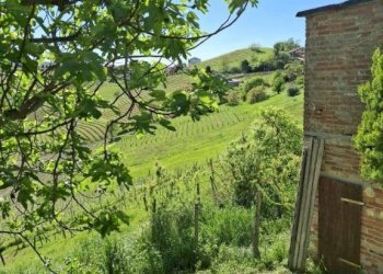 Terreno - Rustico Moasca - foto 17