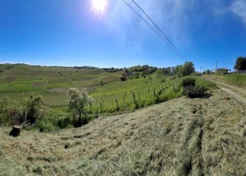 Terreno - Rustico Moasca - foto 19