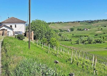 Terreno - Rustic Moasca - photo 2