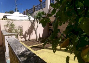 Giardino - Monolocale via Primero, 36, Anzio - foto 7