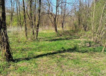 Casa semi indipendente Piazza Vittorio Veneto, 1, San Sebastiano Curone - foto 5