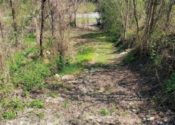 Casa semi indipendente Piazza Vittorio Veneto, 1, San Sebastiano Curone - foto 10