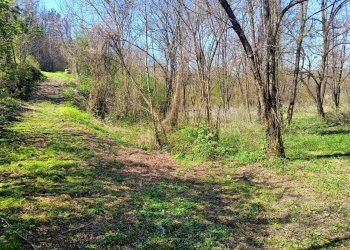 Casa semi indipendente Piazza Vittorio Veneto, 1, San Sebastiano Curone - foto 11