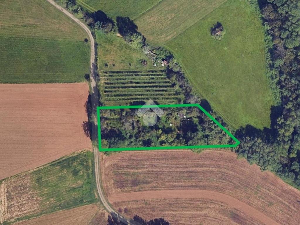 Terreno agricolo Via bussoleno, Rivalta di Torino - foto 1