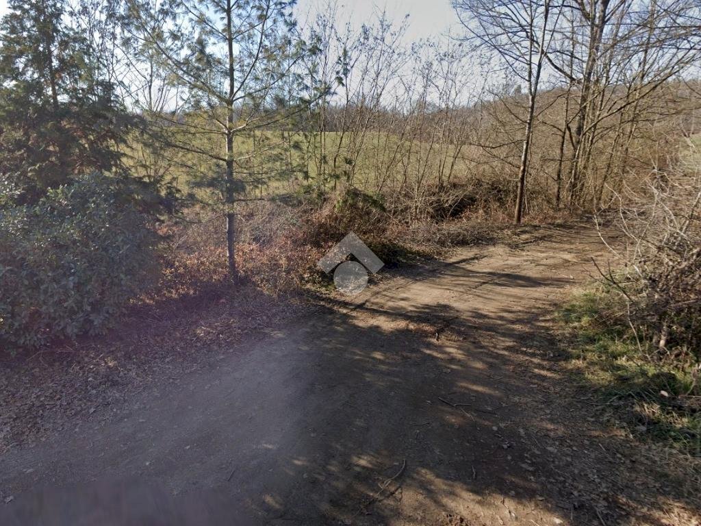 Terreno agricolo Via bussoleno, Rivalta di Torino - foto 2