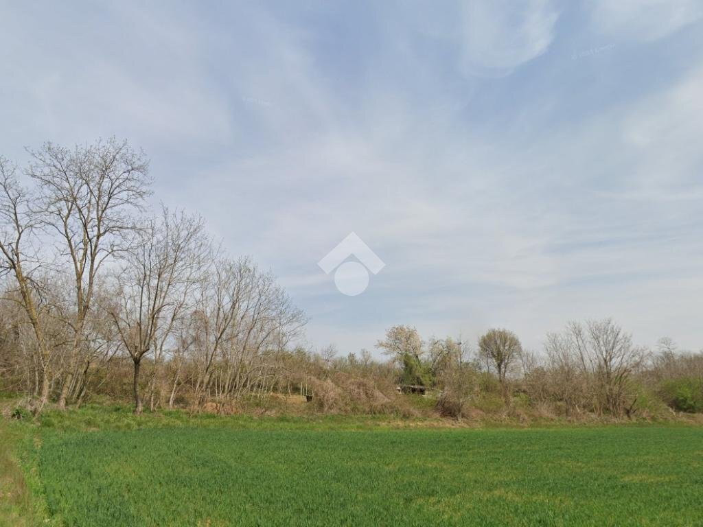 Terreno agricolo Via bussoleno, Rivalta di Torino - foto 3