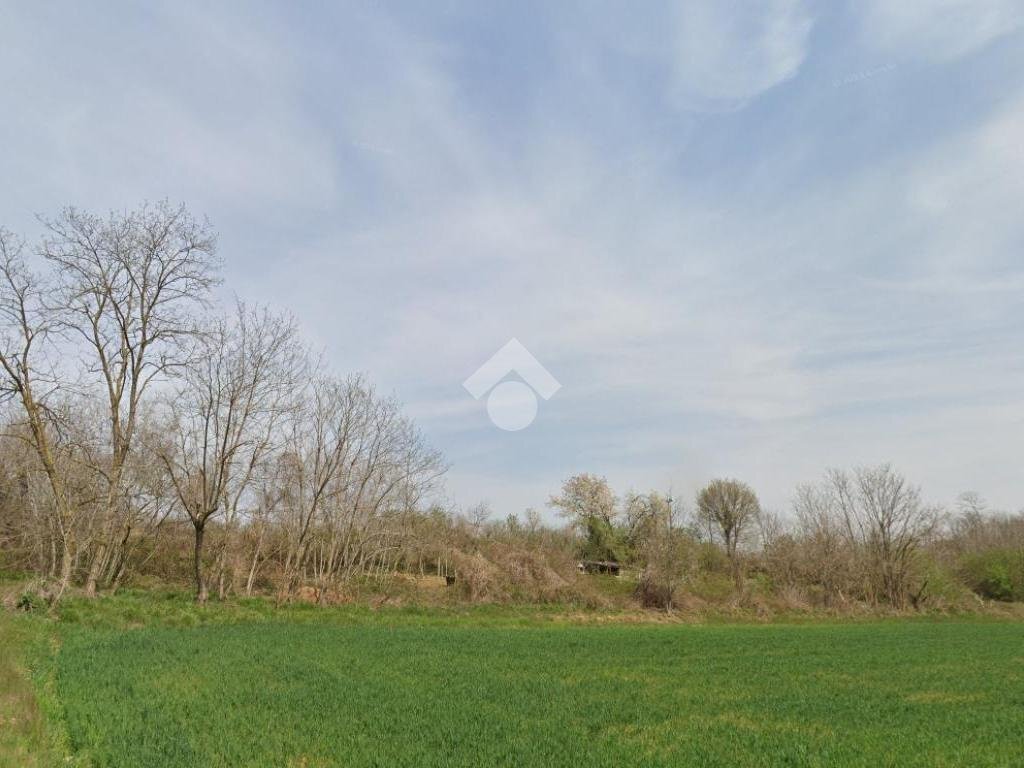 Terreno agricolo Via bussoleno, Rivalta di Torino - foto 1