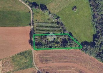 Terreno agricolo Via bussoleno, Rivalta di Torino - foto 1