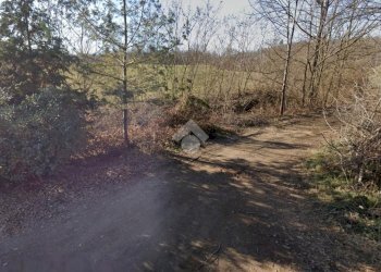 Terreno agricolo Via bussoleno, Rivalta di Torino - foto 2