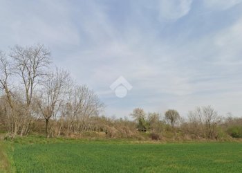 Terreno agricolo Via bussoleno, Rivalta di Torino - foto 3