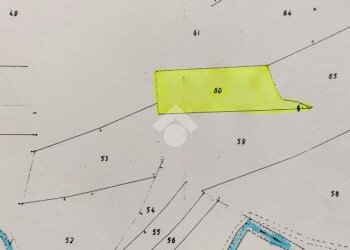 Terreno agricolo Via bussoleno, Rivalta di Torino - foto 4