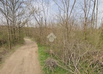 Terreno agricolo Via bussoleno, Rivalta di Torino - foto 7