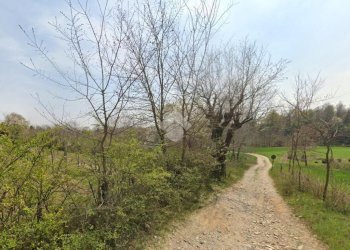 Terreno agricolo Via bussoleno, Rivalta di Torino - foto 11