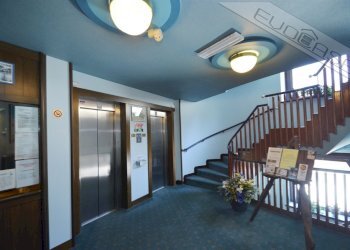 Two-room apartment Via Sauze di Cesana 3, Sestriere - photo 33