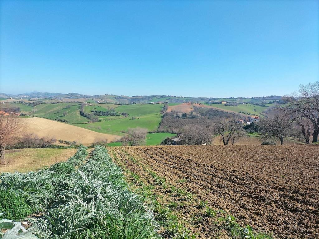 Terreno - Agricultural land via Roma, 141, Jesi - photo 1