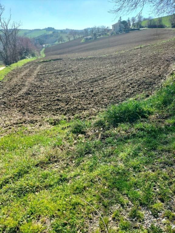 Terreno - Agricultural land via Roma, 141, Jesi - photo 2
