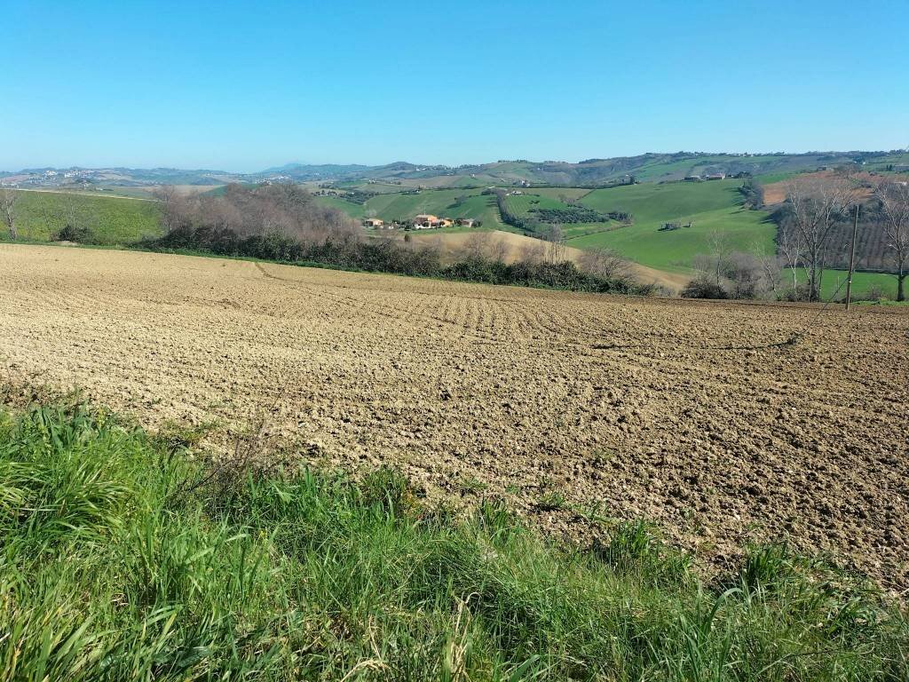 Terreno - Agricultural land via Roma, 141, Jesi - photo 3