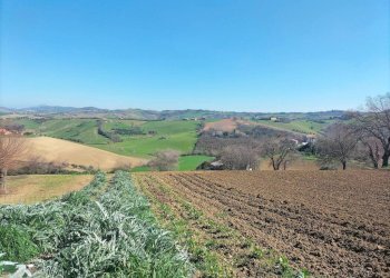 Terreno - Agricultural land via Roma, 141, Jesi - photo 1