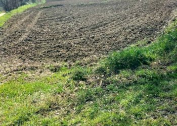 Terreno - Agricultural land via Roma, 141, Jesi - photo 2