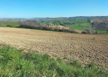 Terreno - Agricultural land via Roma, 141, Jesi - photo 3