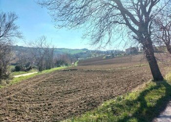 Terreno - Agricultural land via Roma, 141, Jesi - photo 4