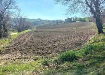 Terreno - Agricultural land via Roma, 141, Jesi - photo 5