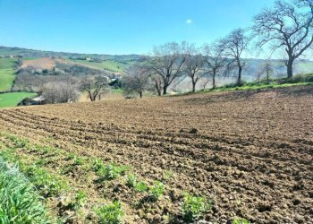 Terreno - Agricultural land via Roma, 141, Jesi - photo 6