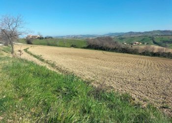 Terreno - Agricultural land via Roma, 141, Jesi - photo 7