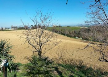 Terreno - Agricultural land via Roma, 141, Jesi - photo 8