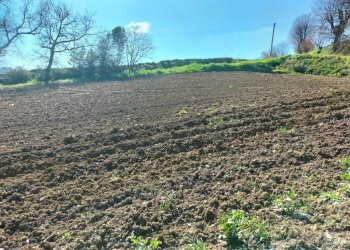 Terreno - Agricultural land via Roma, 141, Jesi - photo 9