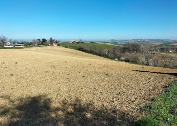 Terreno - Agricultural land via Roma, 141, Jesi - photo 11