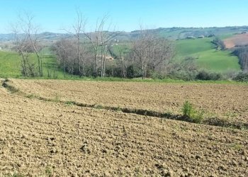 Terreno - Agricultural land via Roma, 141, Jesi - photo 13
