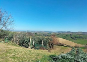 Terreno - Agricultural land via Roma, 141, Jesi - photo 14