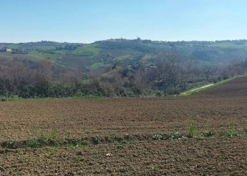 Terreno - Agricultural land via Roma, 141, Jesi - photo 15
