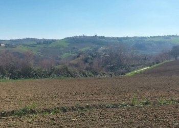 Terreno - Agricultural land via Roma, 141, Jesi - photo 16