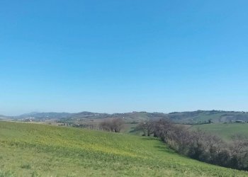 Vista - Agricultural land via Roma, 141, Jesi - photo 17