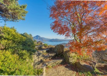Villa Monterosso, Verbania - foto 5