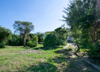 Villa Pittulongu, Olbia - foto 8