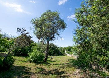 Villa Pittulongu, Olbia - foto 13