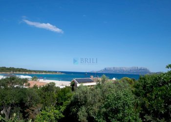 Villa Pittulongu, Olbia - foto 27