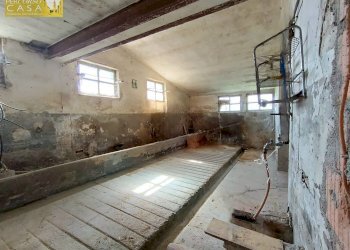 Foto 14 - Casa indipendente Bellante - foto 14