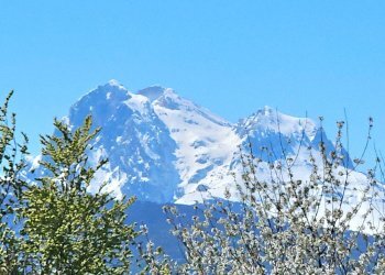 Foto 6 - Quadrilocale Piano Grande, Torricella Sicura - foto 6