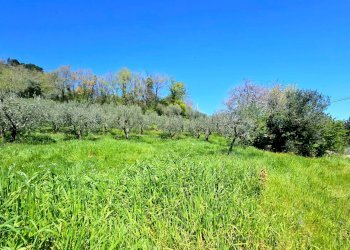 Foto 19 - Quadrilocale Piano Grande, Torricella Sicura - foto 19