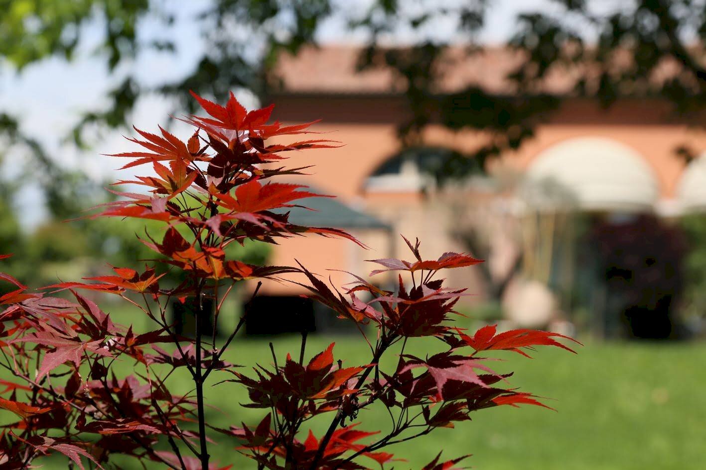 Foto 3 - Rustico strada comunale di san vitale, Treviso - foto 3