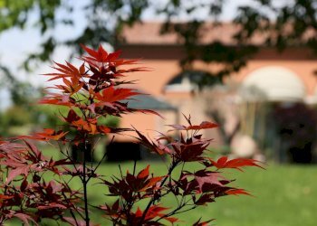 Foto 3 - Rustico strada comunale di san vitale, Treviso - foto 3